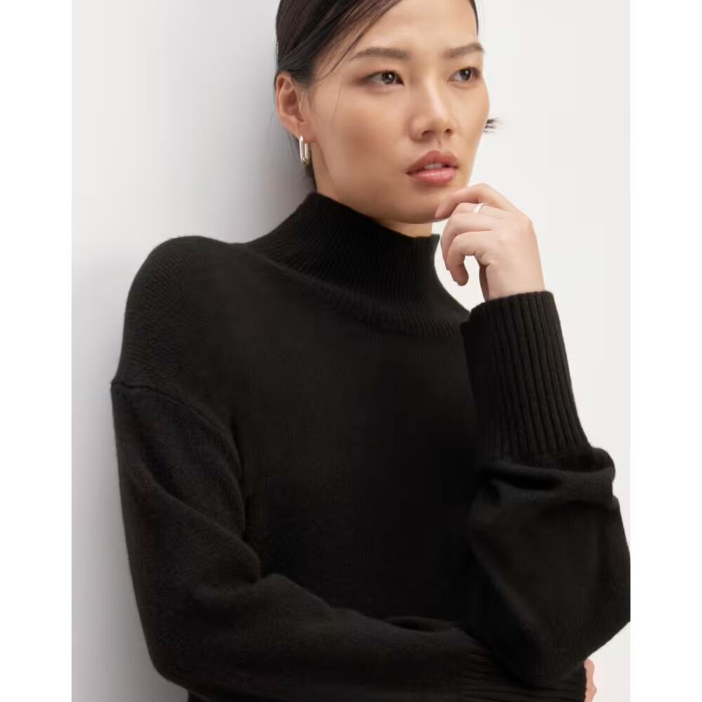 Everlane The Cashmere Oversized Turtleneck Sweater in Black